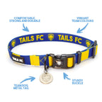 Yellow and Blue Dog Set - Yellow & Blue Stripe Football Dog Collar and Leash Set