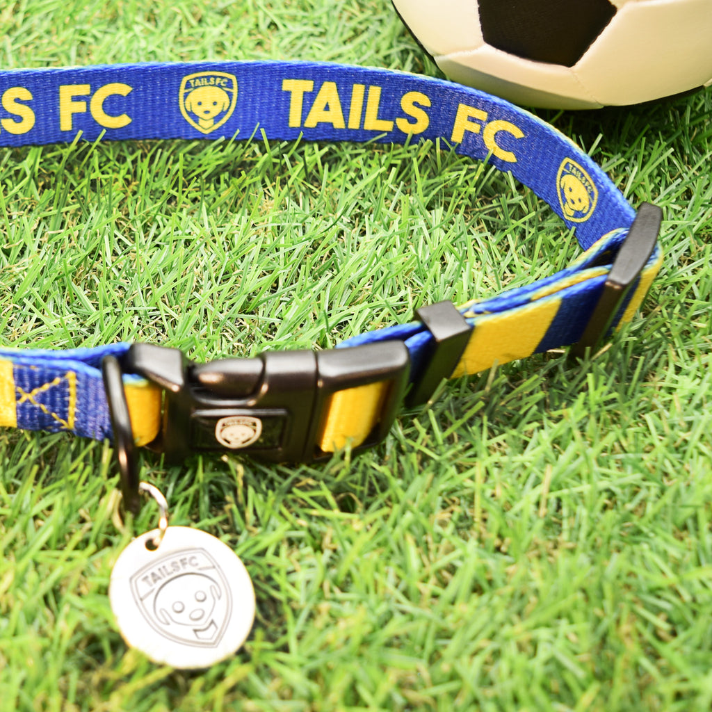 Yellow and Blue Dog Set - Yellow & Blue Stripe Football Dog Collar and Leash Set