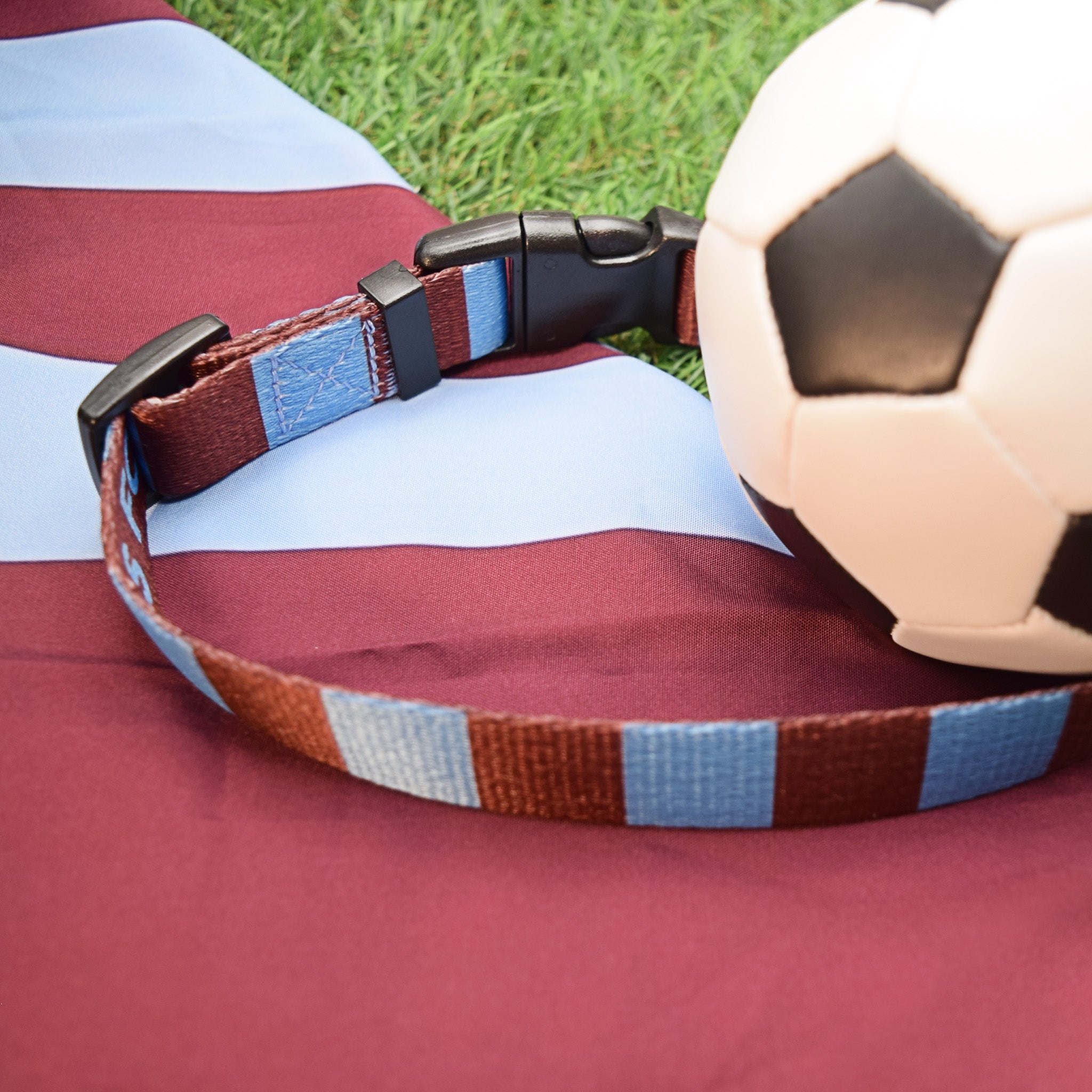 Claret and Blue Dog Set - Claret & Blue Stripe Football Dog Collar and Leash Set