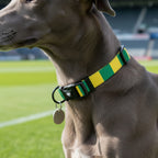 Yellow and Green Dog Set - Yellow & Green Stripe Football Dog Collar and Leash Set