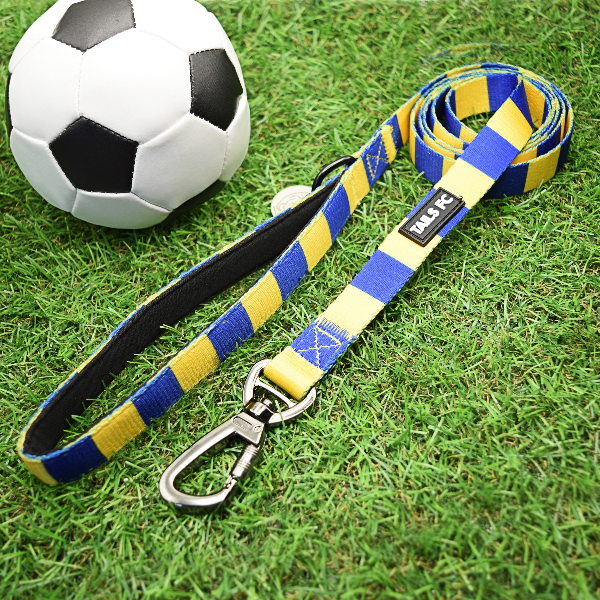 Yellow and Blue Dog Set - Yellow & Blue Stripe Football Dog Collar and Leash Set