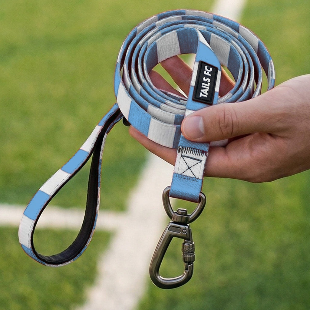 Coventry Pet Lead - Sky Blue & White Stripe Football Pet Lead