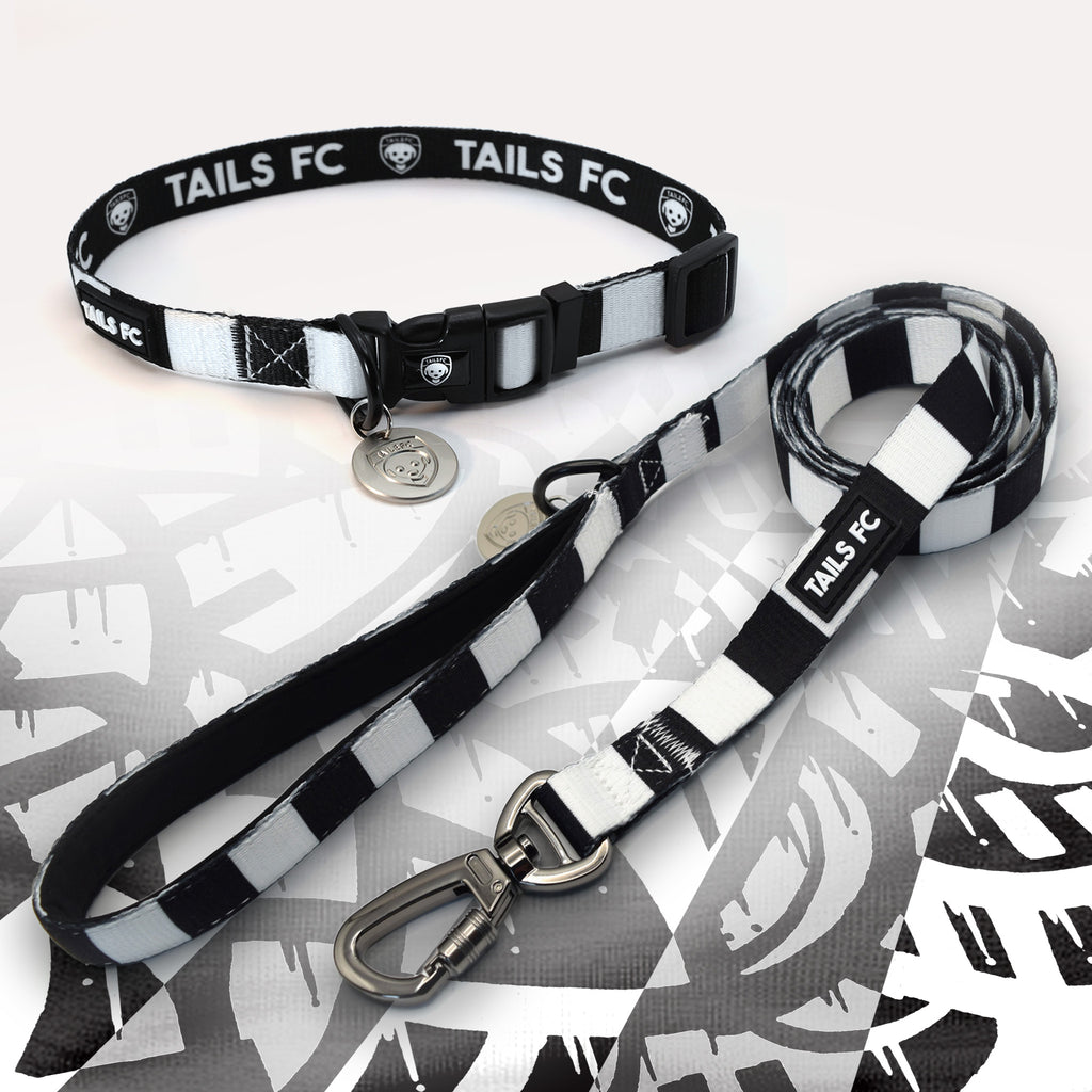 Derby black and white striped pet collar and leash set with 'TAILS FC' branding.