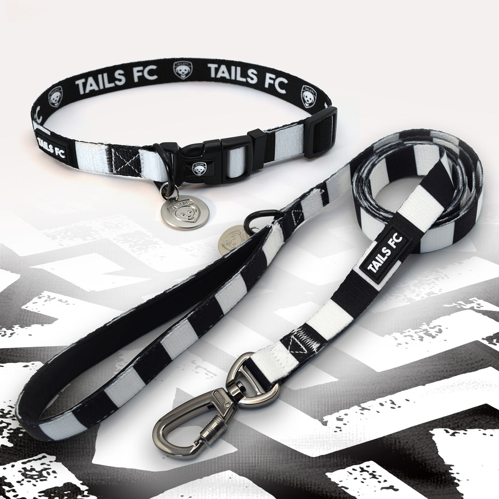 Newcastle black and white dog collar and leash.