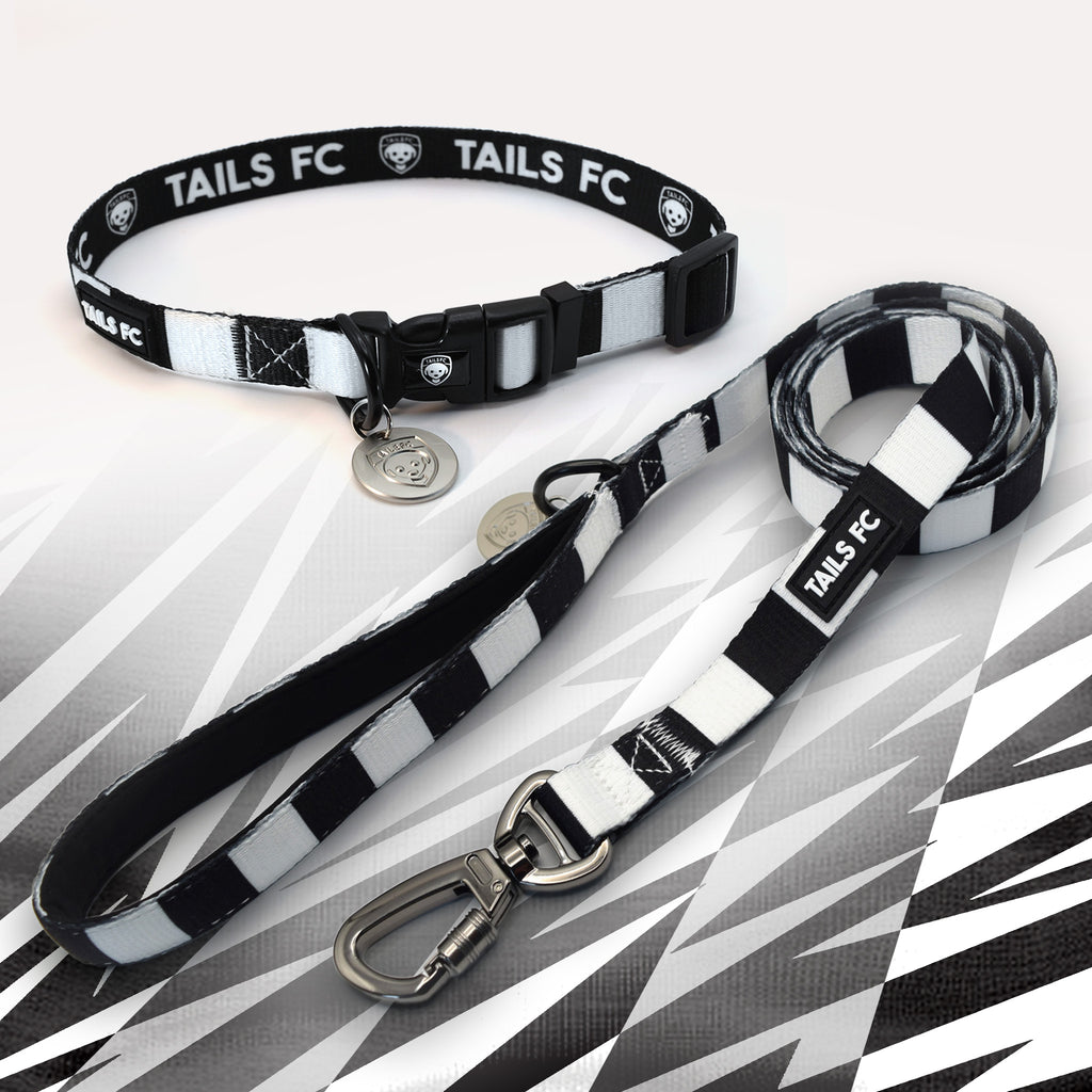 Swansea black and white striped pet collar and leash set with 'TAILS FC' branding.