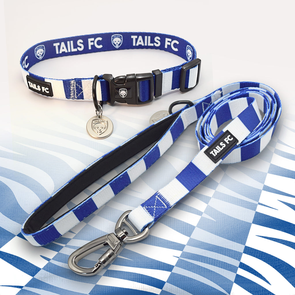Blackburn blue and white striped pet collar and leash set with 'TAILS FC' branding.