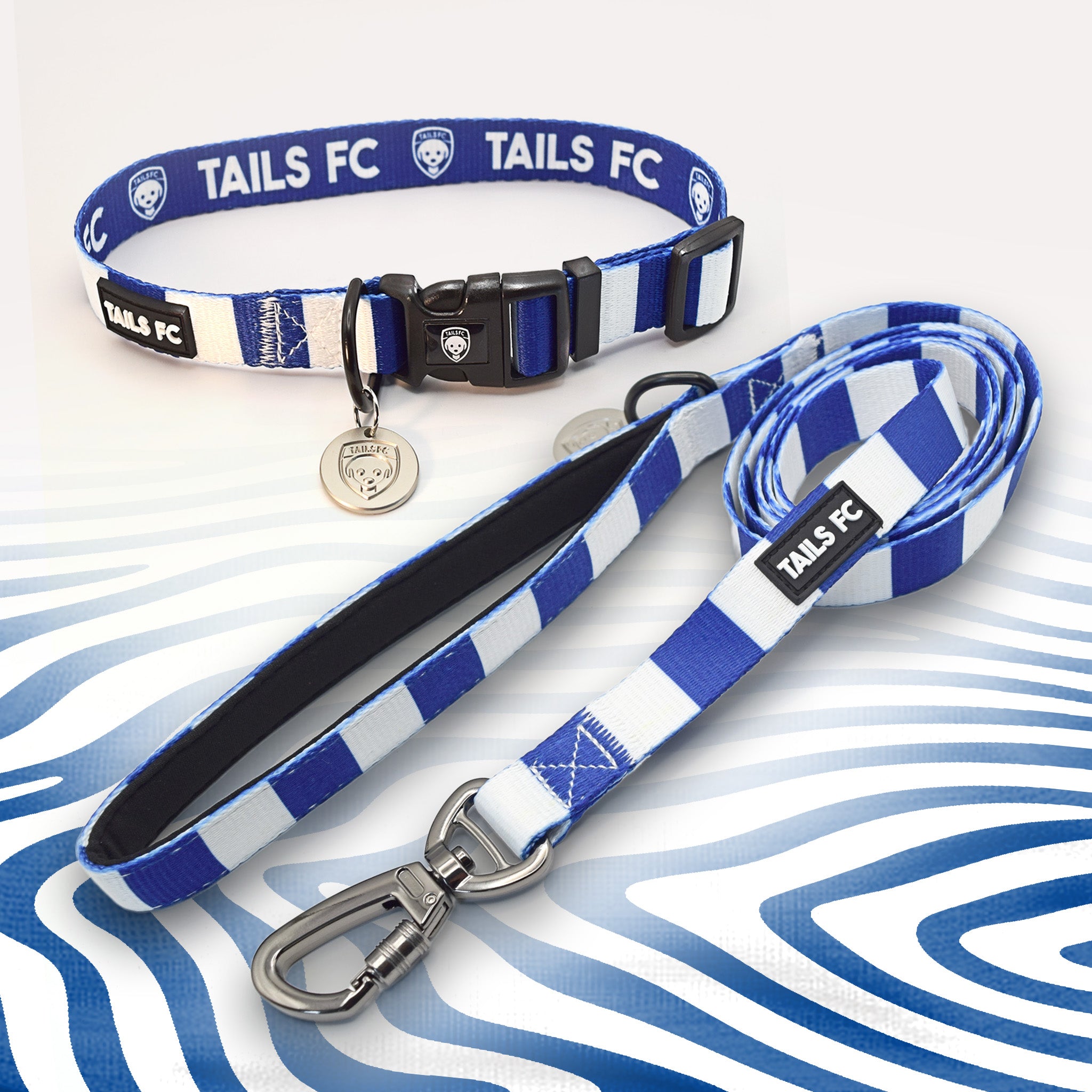 Brighton blue and white dog collar and leash.