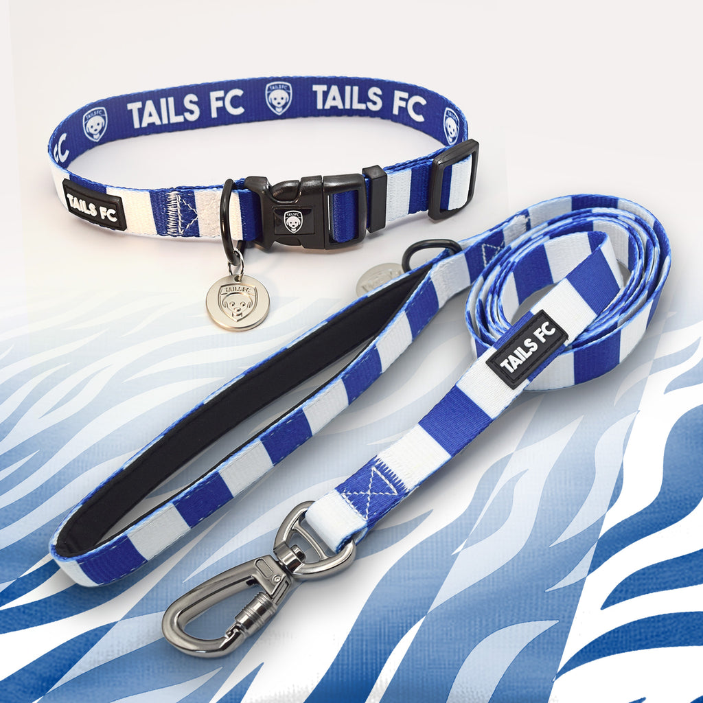 Leicester blue and white striped pet collar and leash set with 'TAILS FC' branding.