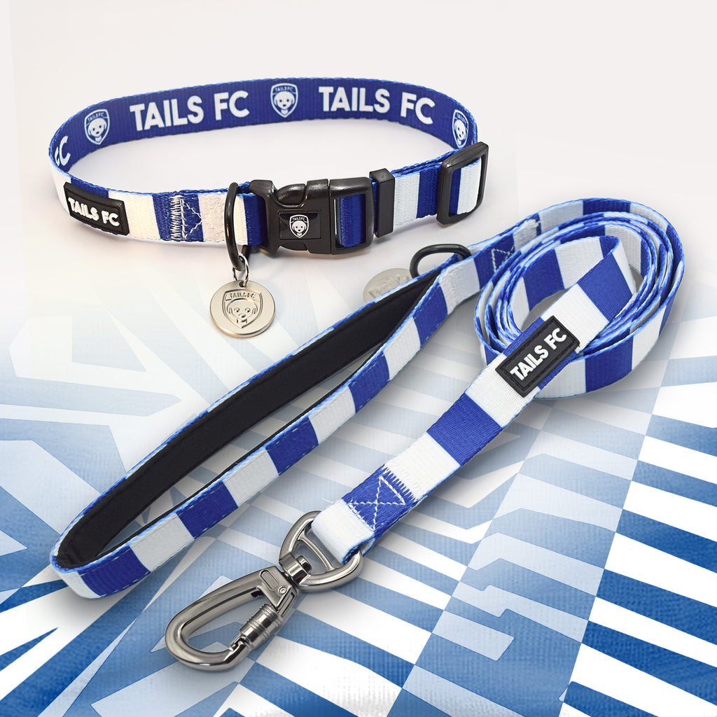 West Brom blue and white striped pet collar and leash set with 'TAILS FC' branding.