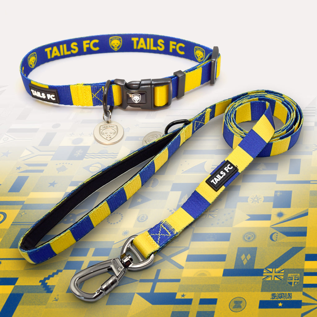 Sweden blue and yellow striped pet collar and leash set with 'TAILS FC' branding.