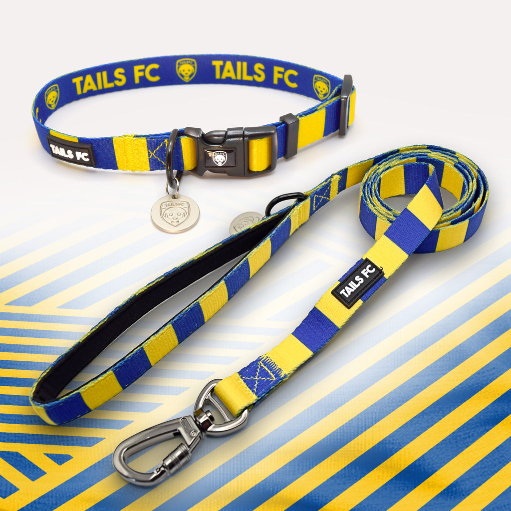 Blue and yellow striped pet collar and leash set with 'TAILS FC' branding.