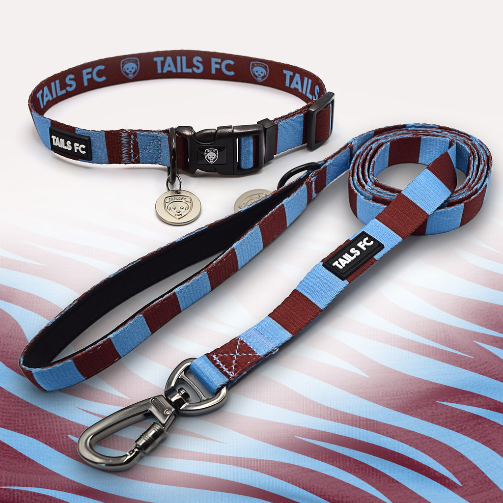 Aston Villa claret and blue dog collar and leash.