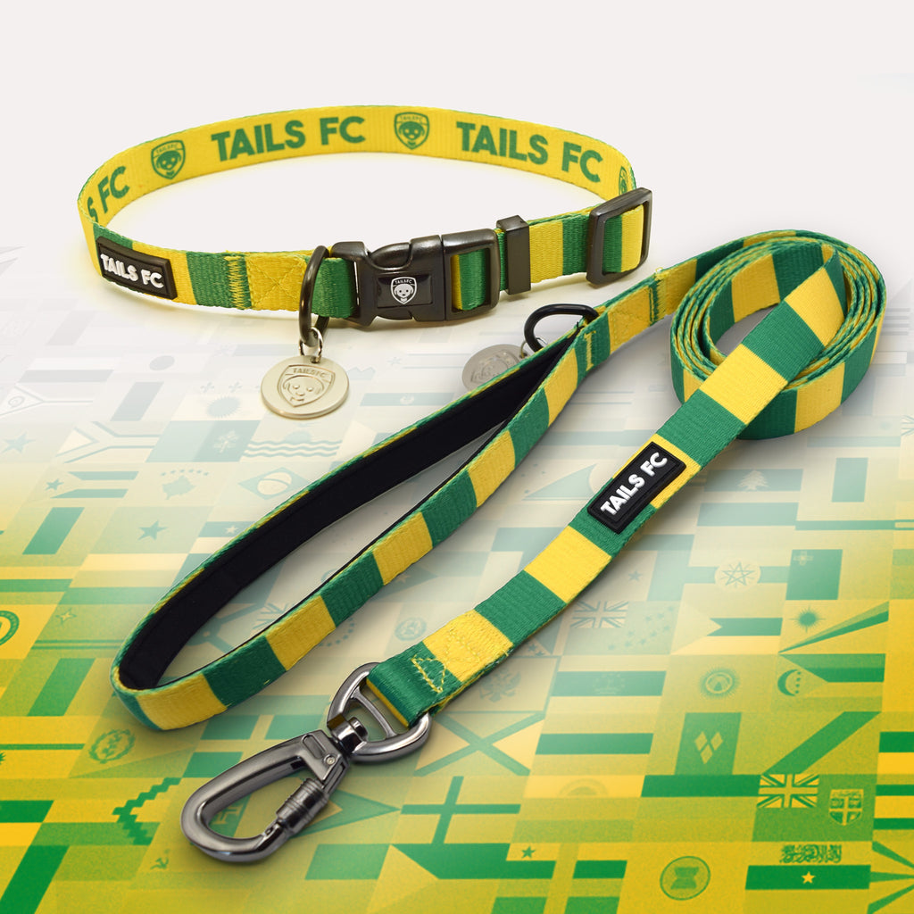 Brazil Yellow and green striped pet collar and leash set with 'TAILS FC' branding.