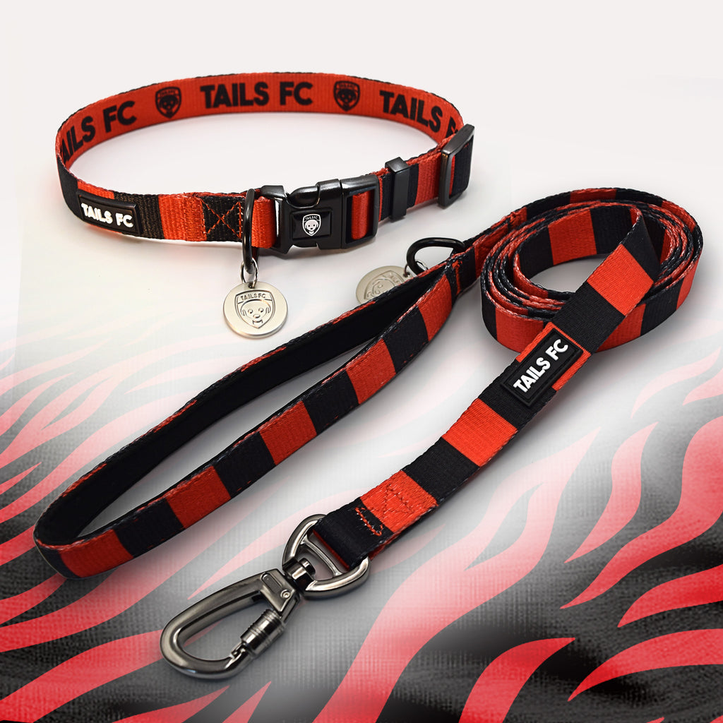 Bournemouth red and black dog collar and leash.