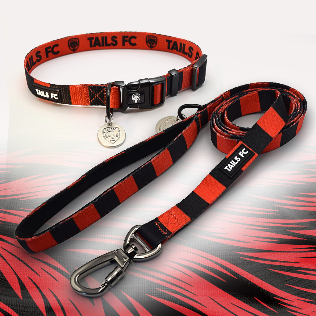Manchester United red and black dog collar and leash.