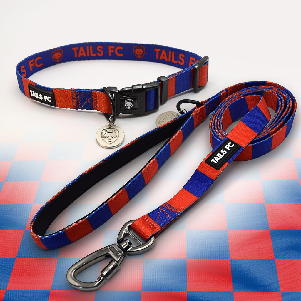 Red and Blue striped pet collar and leash set with 'TAILS FC' branding.
