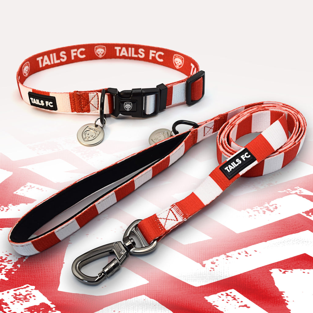 Brentford red and white dog collar and leash.