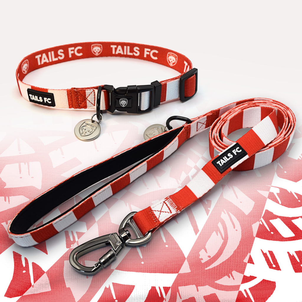 Bristol City red and white striped pet collar and leash set with 'TAILS FC' branding.