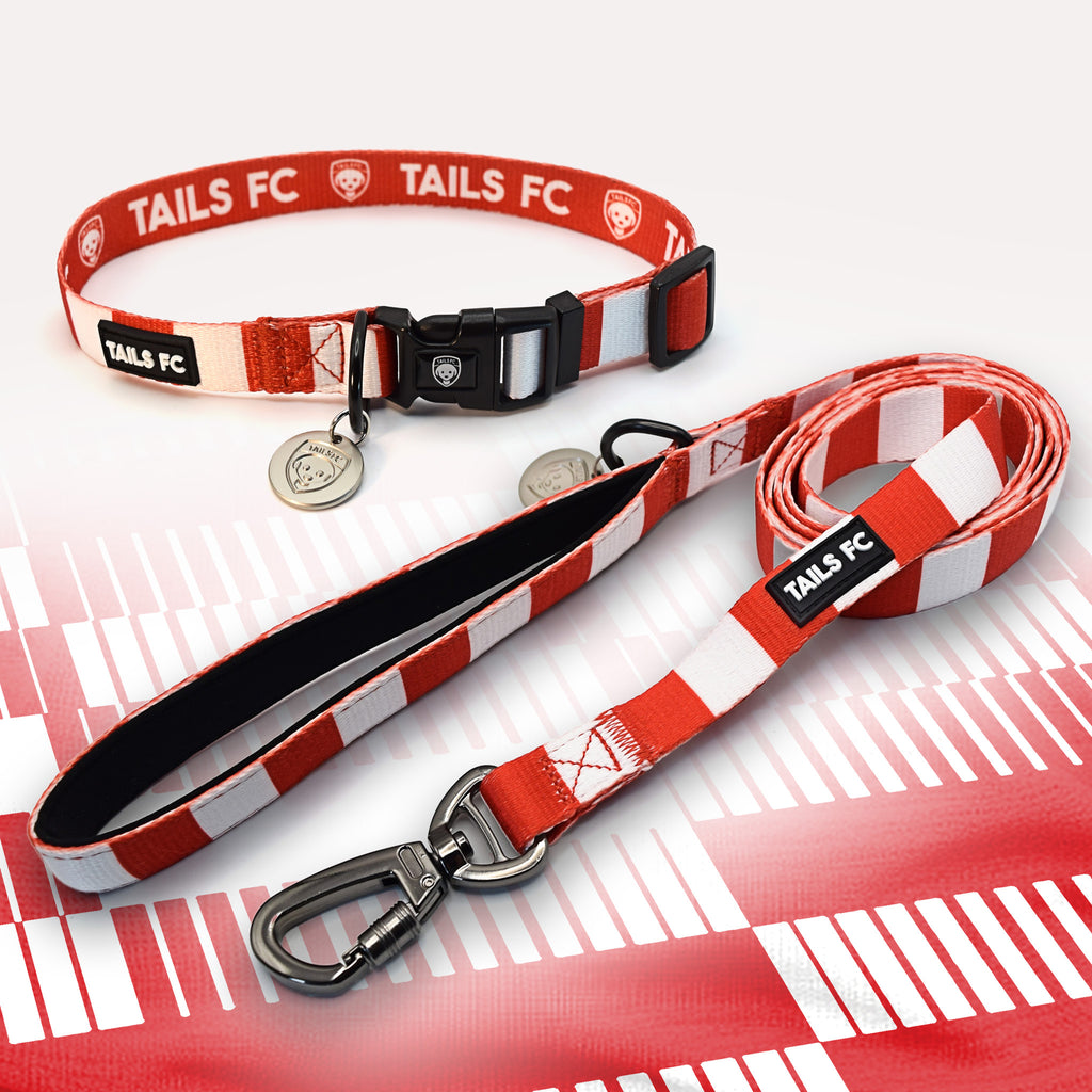 Liverpool red and white dog collar and leash.