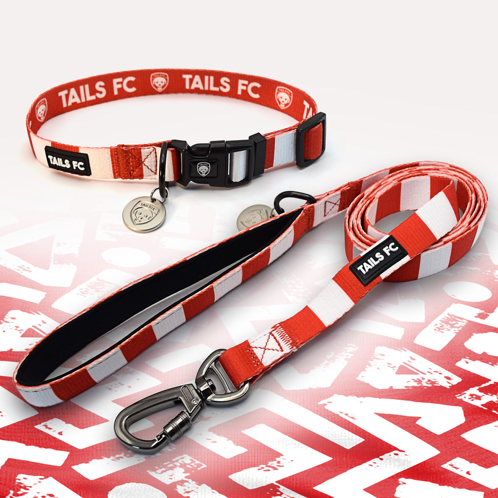 Nottingham Forest red and white dog collar and leash.