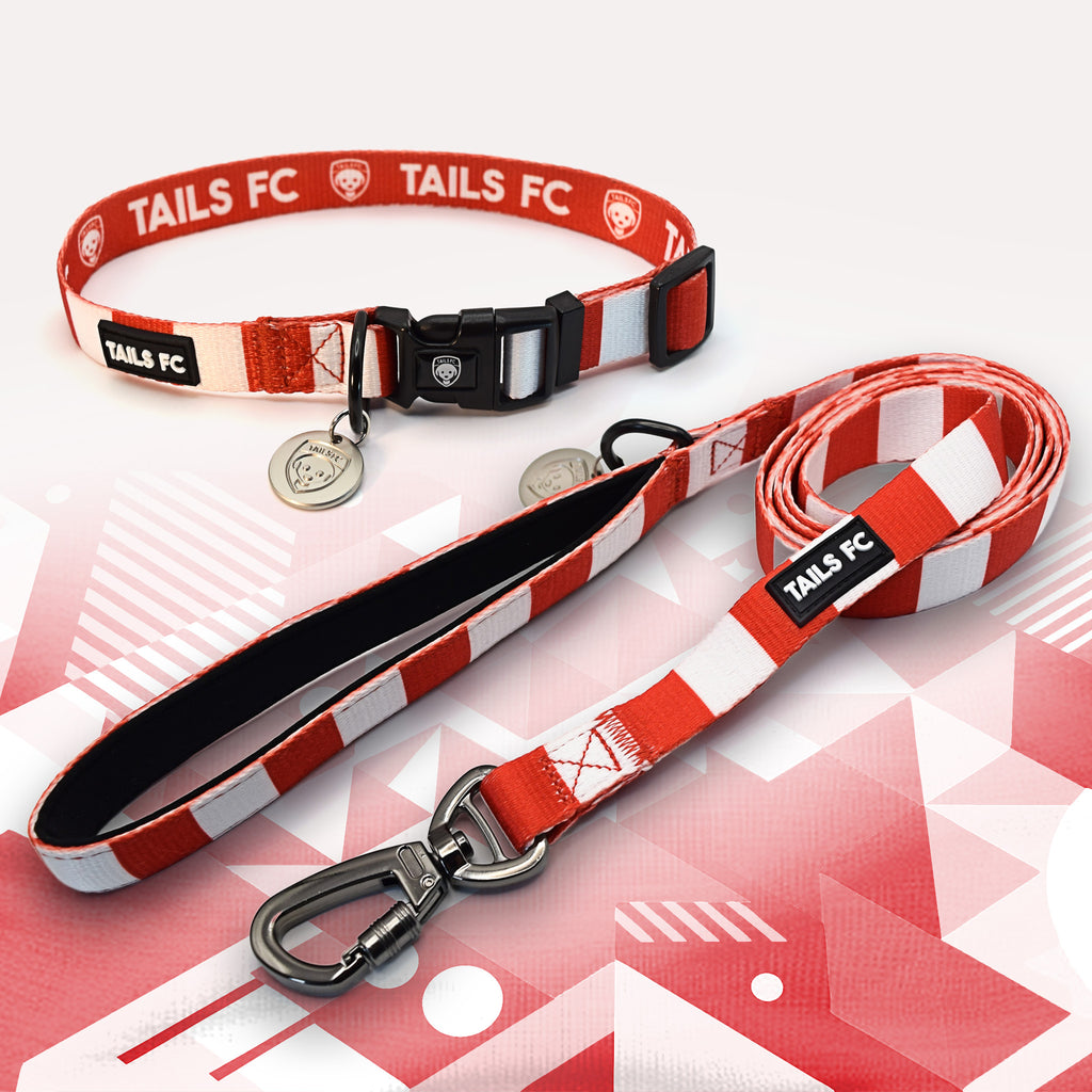 Red and White striped pet collar and leash set with 'TAILS FC' branding.