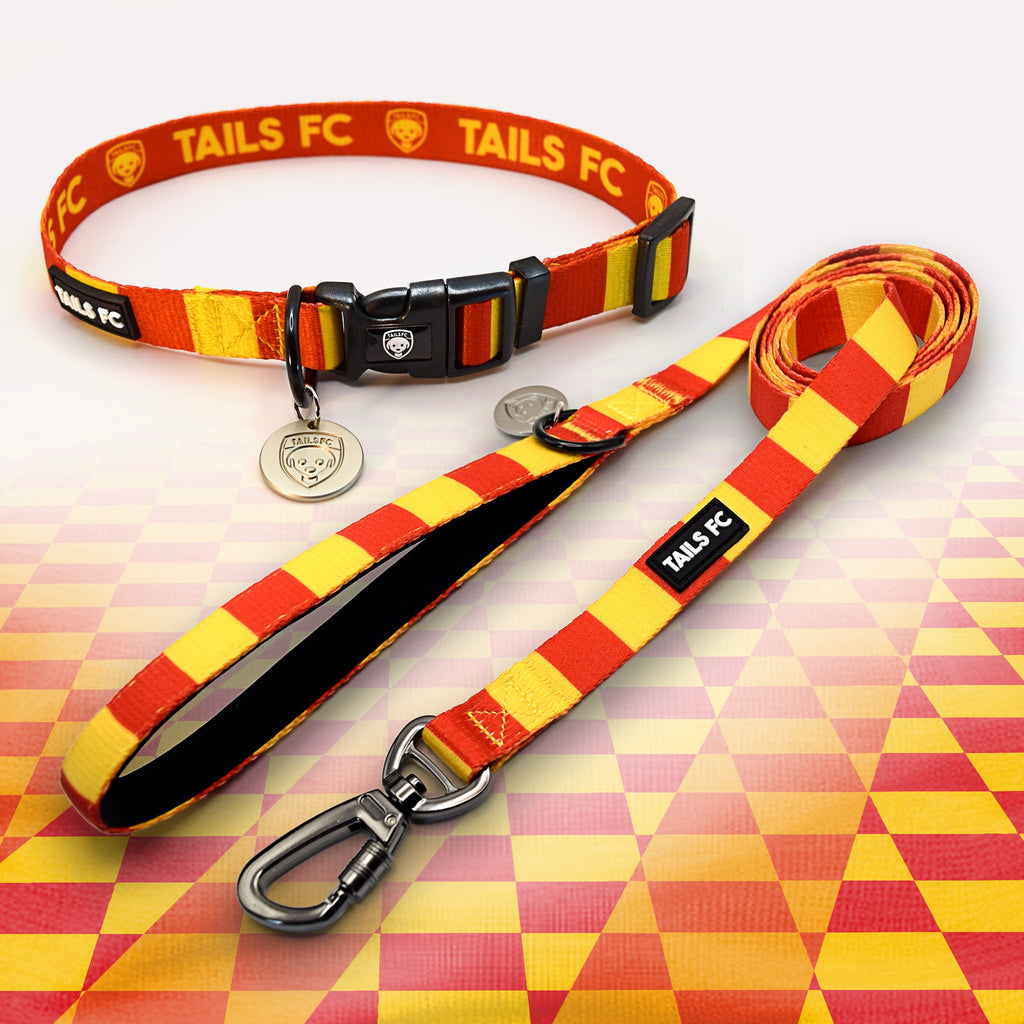 Motherwell Red and yellow striped pet collar and leash set with 'TAILS FC' branding.