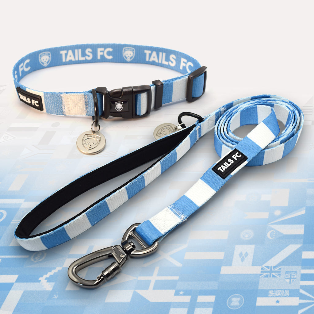 Argentina Sky and White striped pet collar and leash set with 'TAILS FC' branding.
