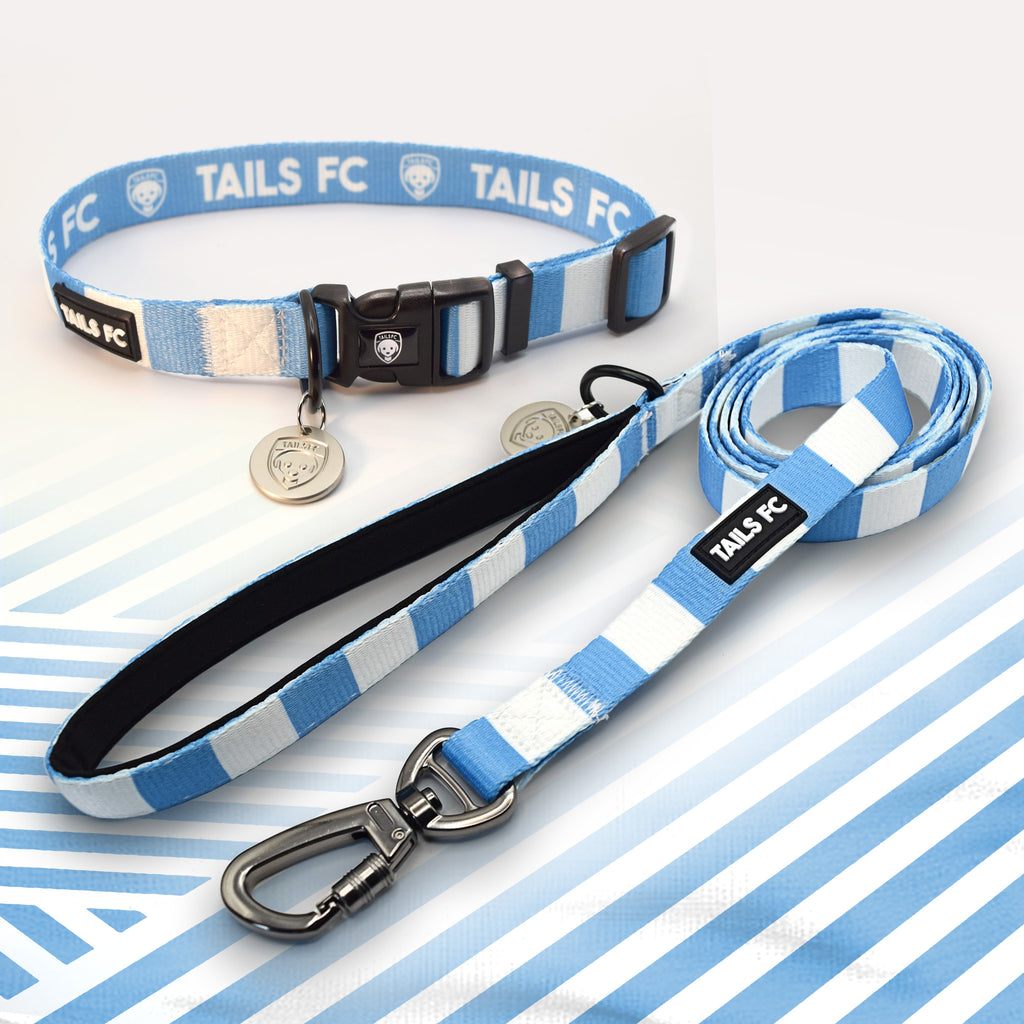 Coventry Dog Collar and Lead set in Sky Blue and White Stripes.