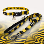 Livingston yellow and black striped pet collar and leash set with 'TAILS FC' branding.