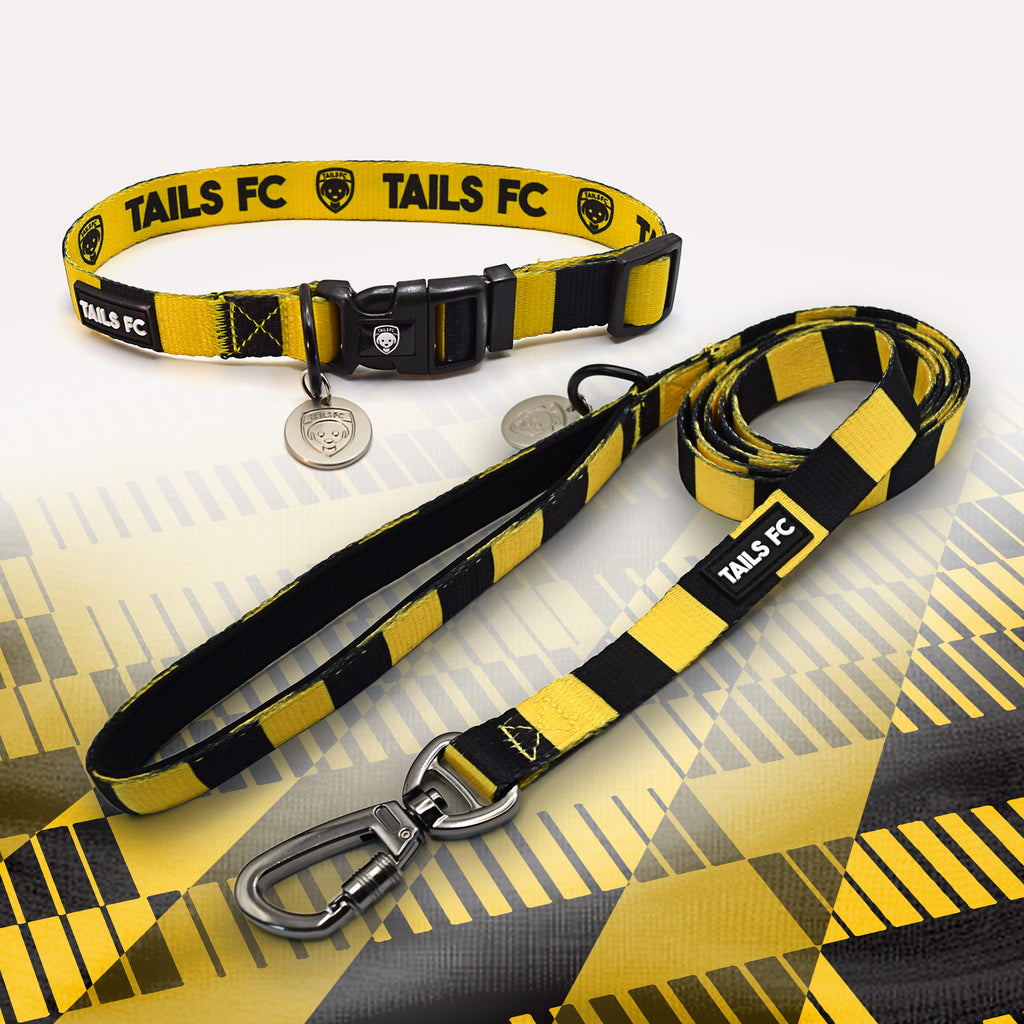 Watford Yellow and black striped pet collar and leash set with 'TAILS FC' branding.