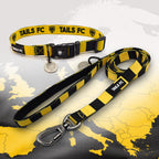 Dortmund yellow and black striped pet collar and leash set with 'TAILS FC' branding.