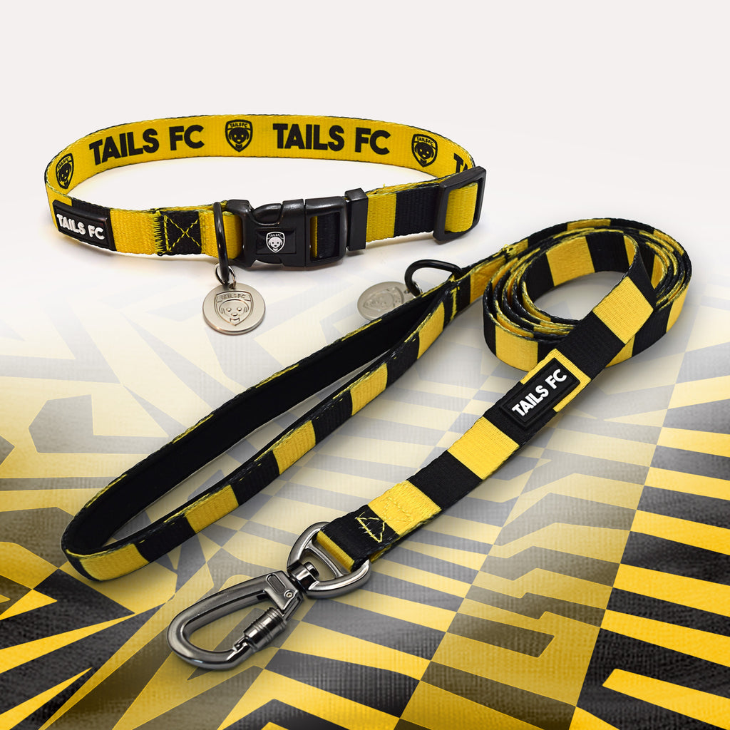 Yellow and Black striped pet collar and leash set with 'TAILS FC' branding.