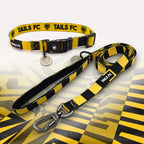 Yellow and Black striped pet collar and leash set with 'TAILS FC' branding.