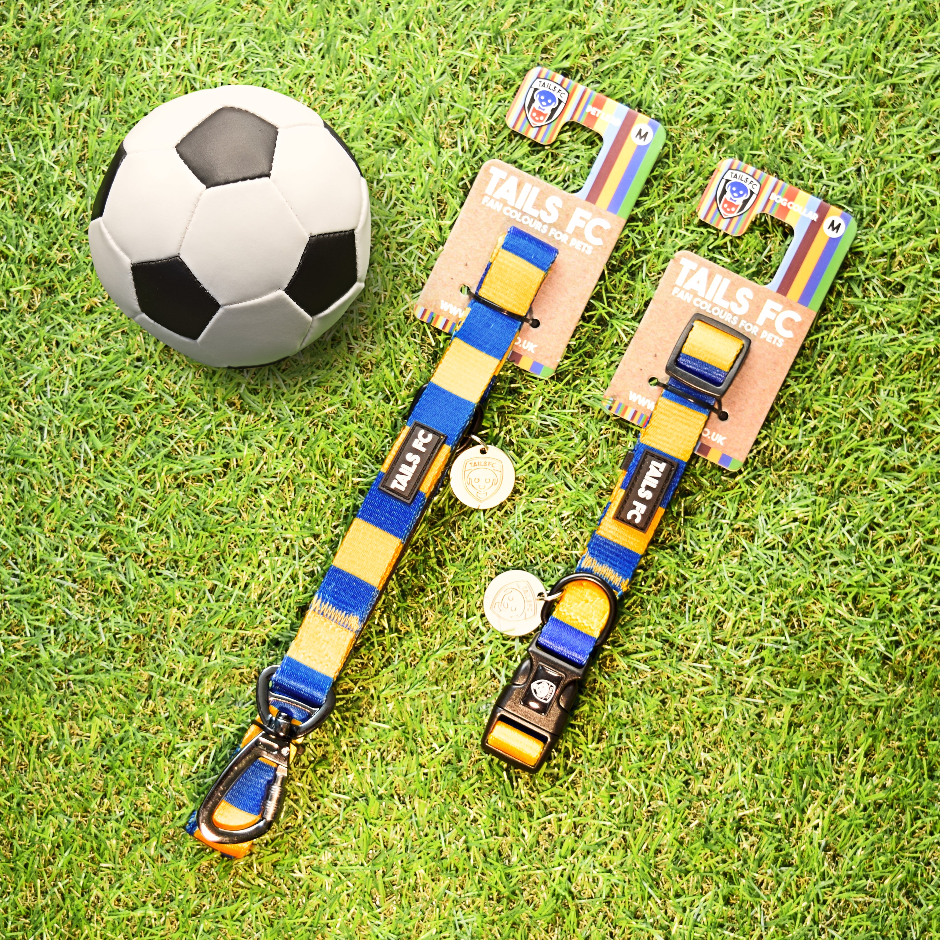 Yellow and Blue Dog Set - Yellow & Blue Stripe Football Dog Collar and Leash Set