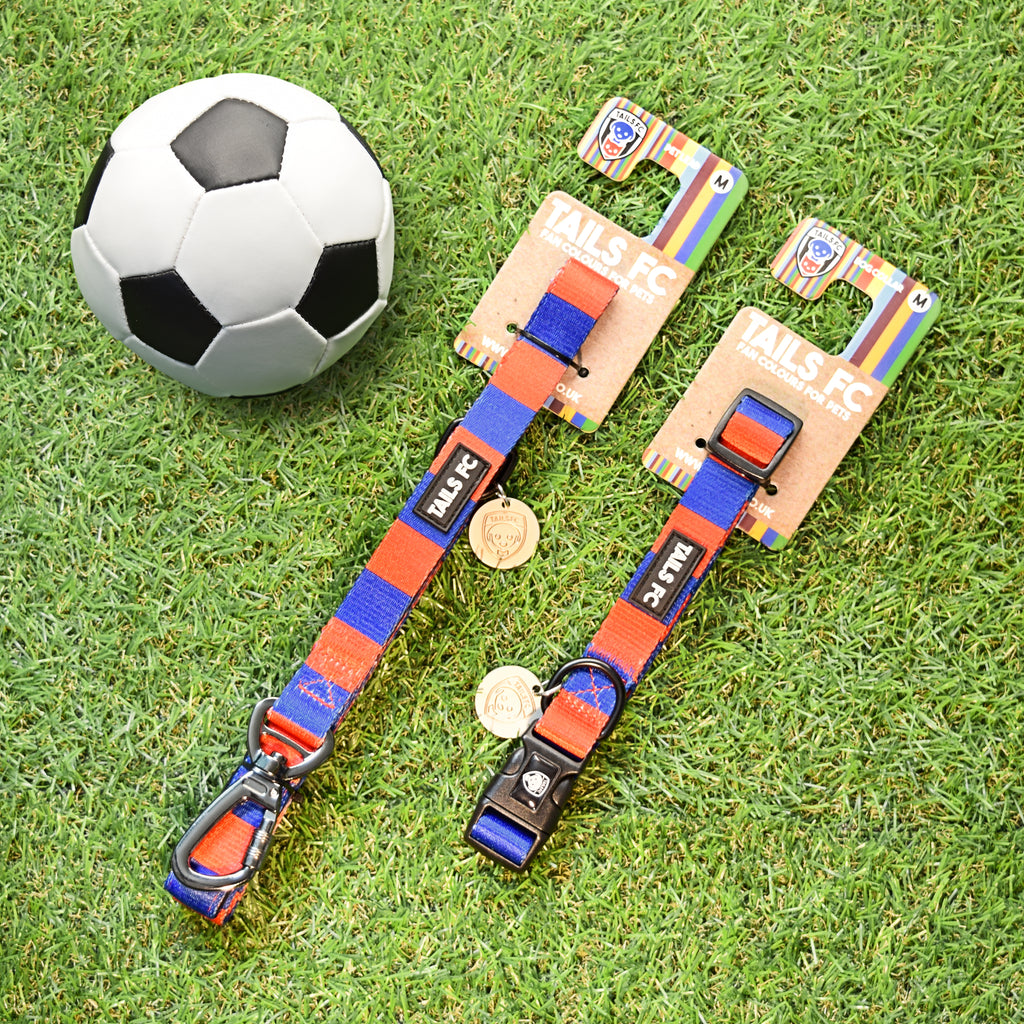 Red and Blue Dog Set - Red & Blue Stripe Football Dog Collar and Leash Set