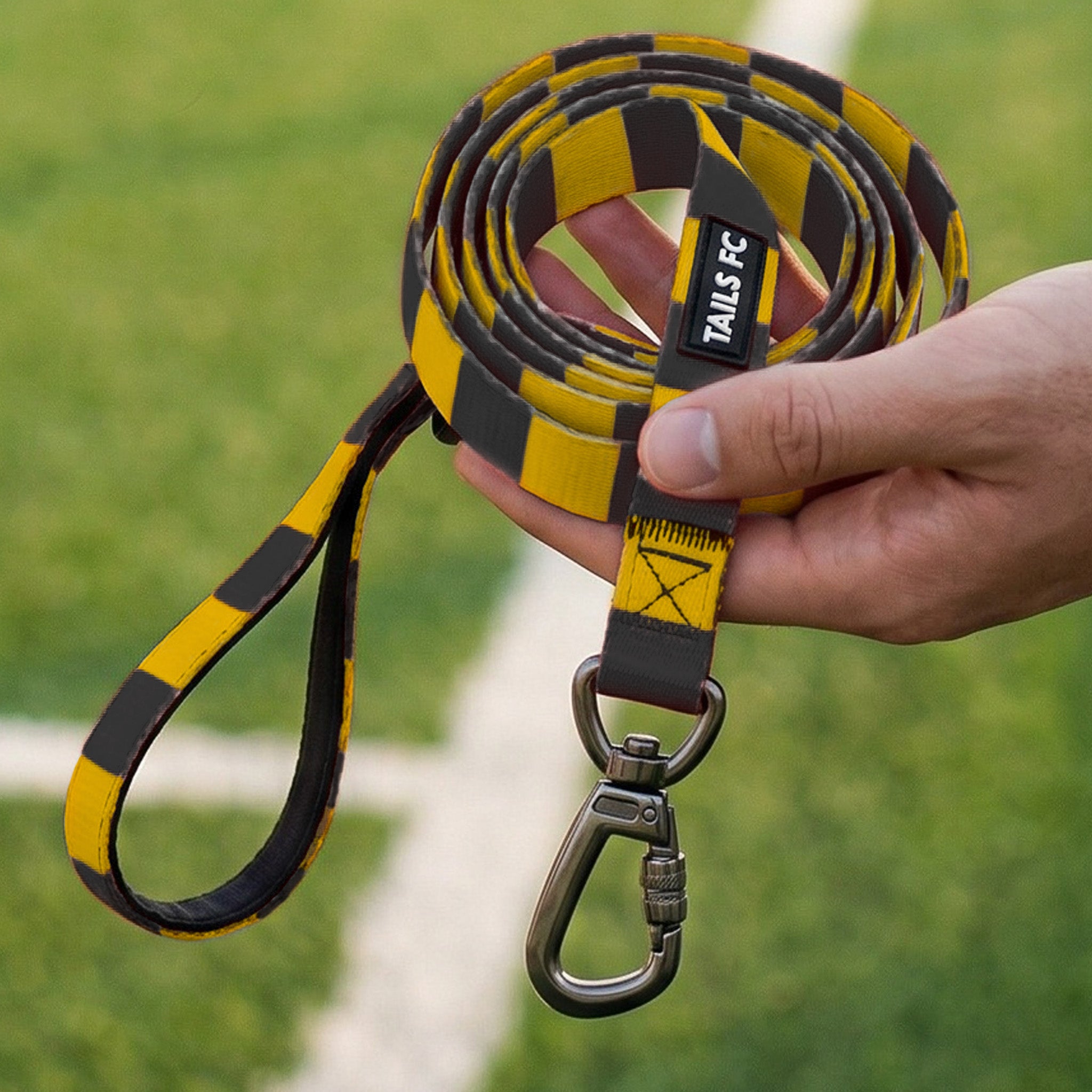 Hull Pet Lead - Amber & Black Stripe Football Pet Lead