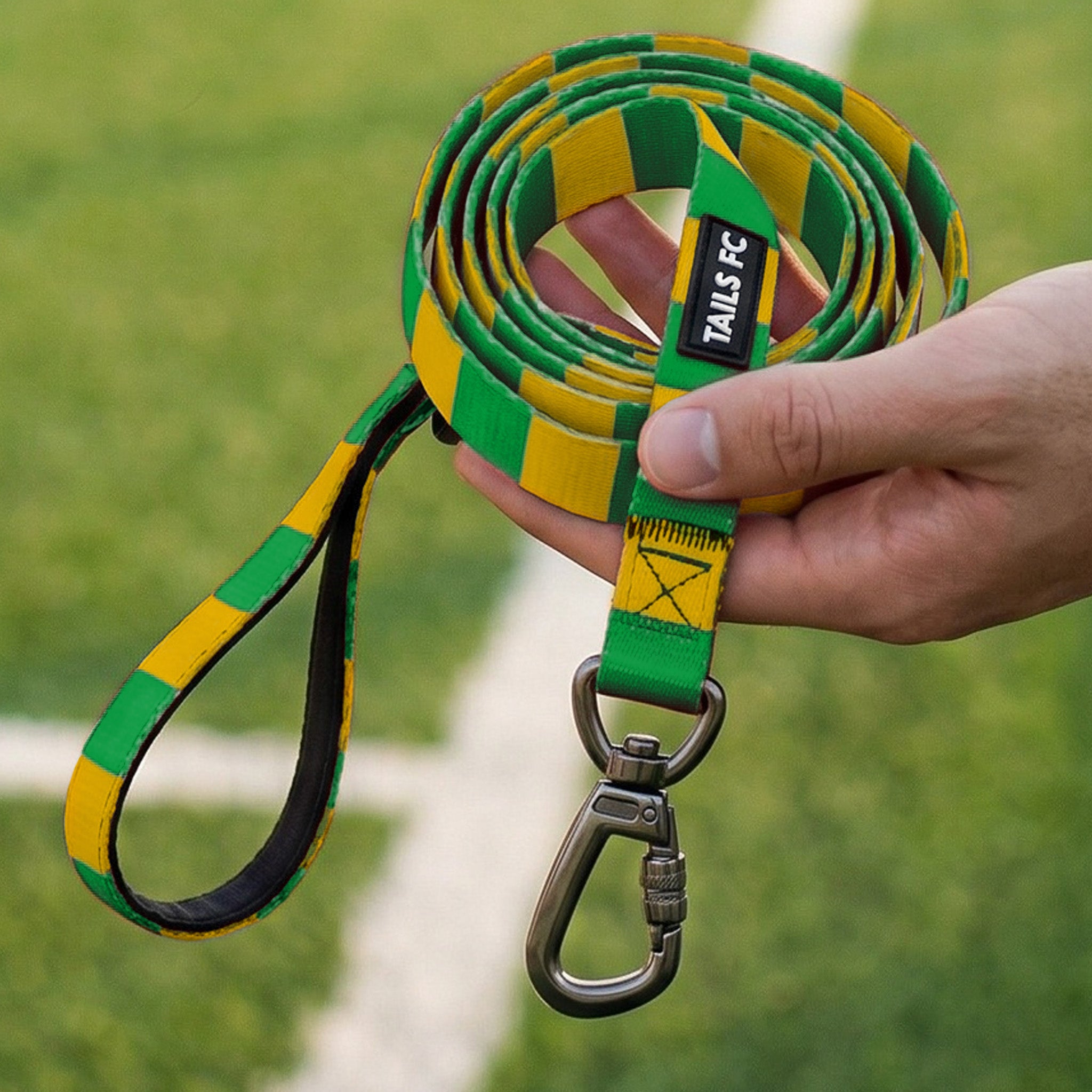 Norwich Pet Lead - Yellow & Green Stripe Football Pet Lead