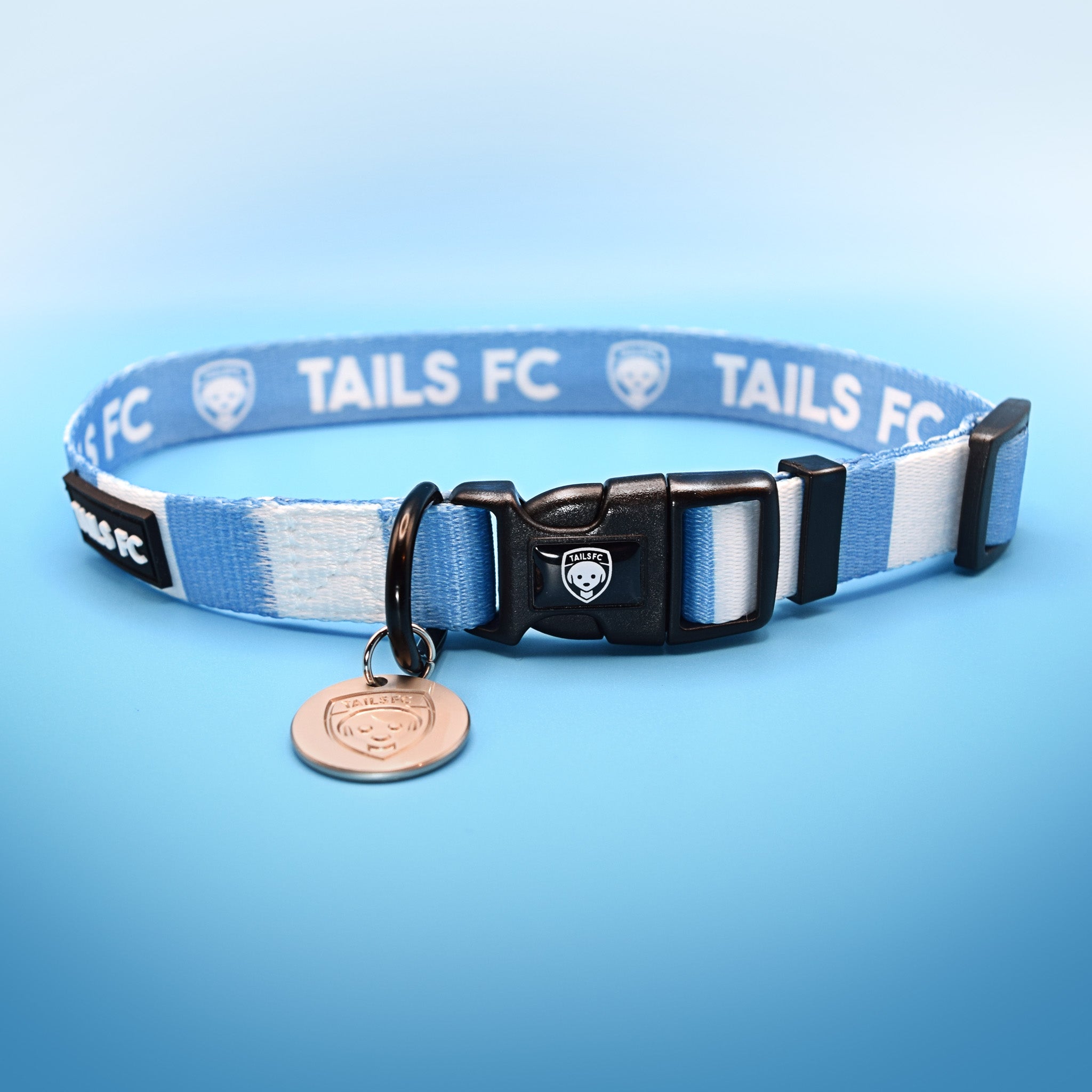 Argentina Dog Collar - Sky Blue & White Stripe Football Pet Collar