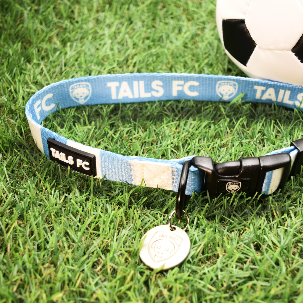 Argentina Dog Collar - Sky Blue & White Stripe Football Pet Collar