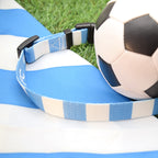 Argentina Dog Set - Sky Blue & White Stripe Football Dog Collar and Leash Set