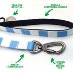Argentina Dog Set - Sky Blue & White Stripe Football Dog Collar and Leash Set