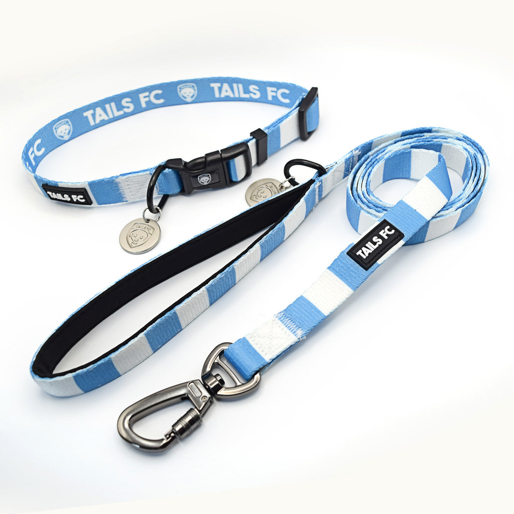 Argentina Dog Set - Sky Blue & White Stripe Football Dog Collar and Leash Set