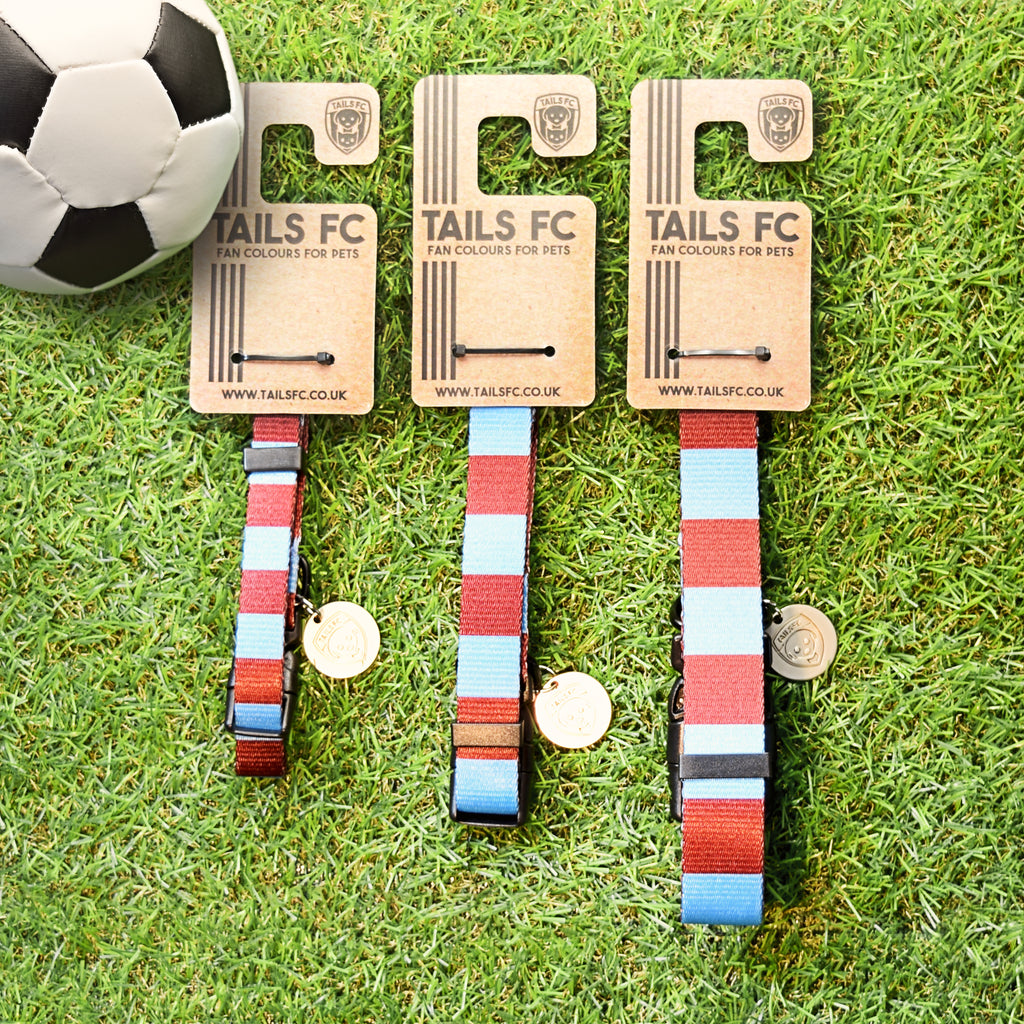 Aston Villa Dog Collar - claret & blue Stripe Football Pet Collar