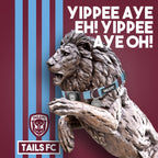 Aston Villa Cat Collar - claret & blue Stripe Football Pet Collar