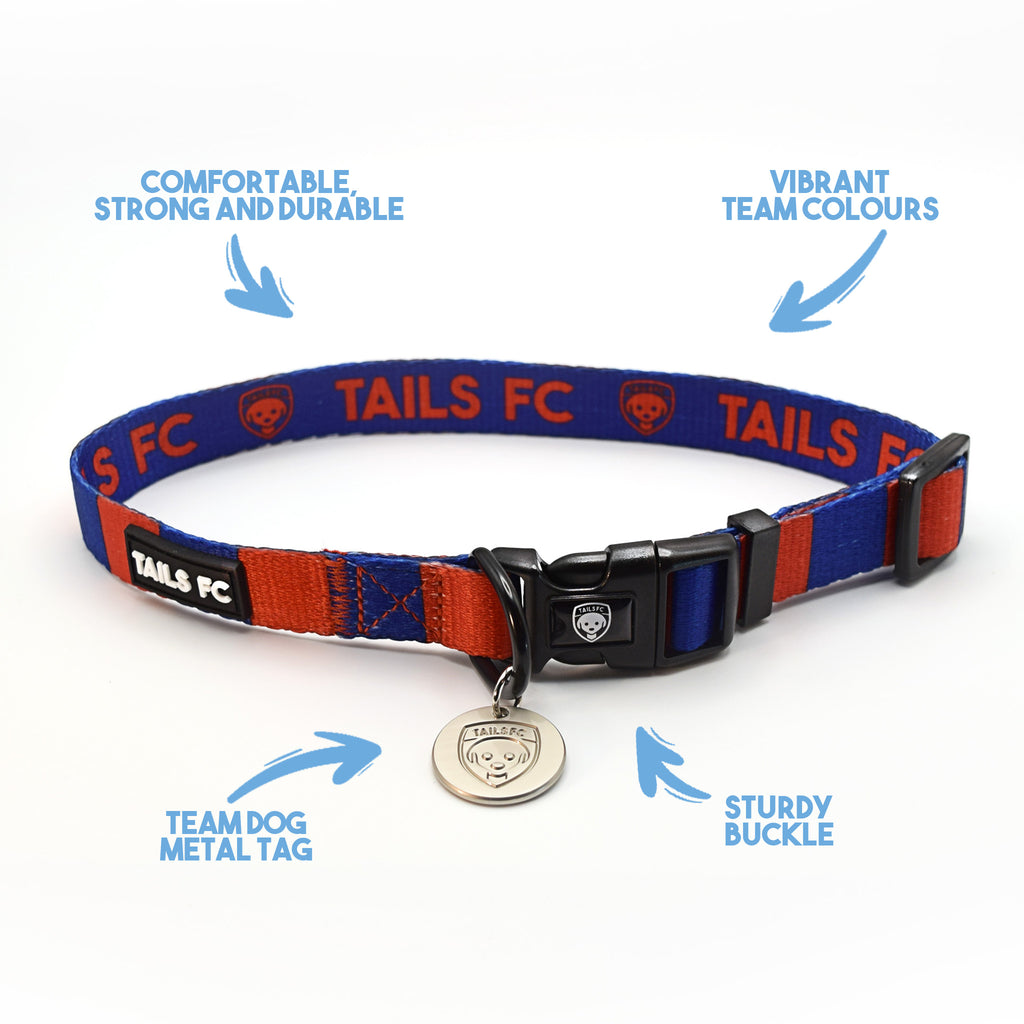 Barcelona Dog Set - Red & Blue Stripe Football Dog Collar and Leash Set
