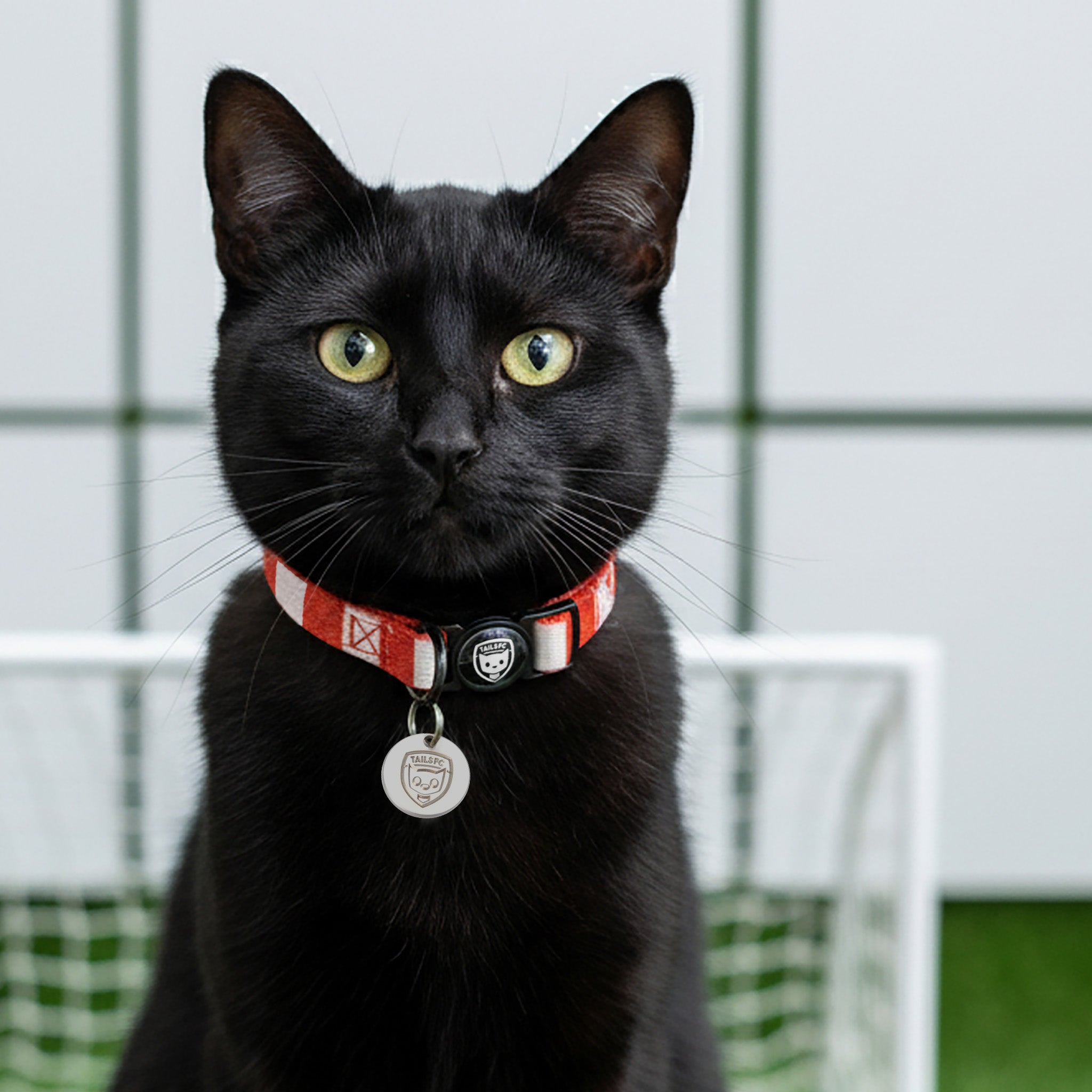 Bayern Munich Cat Collar - red & White Stripe Football Pet Collar