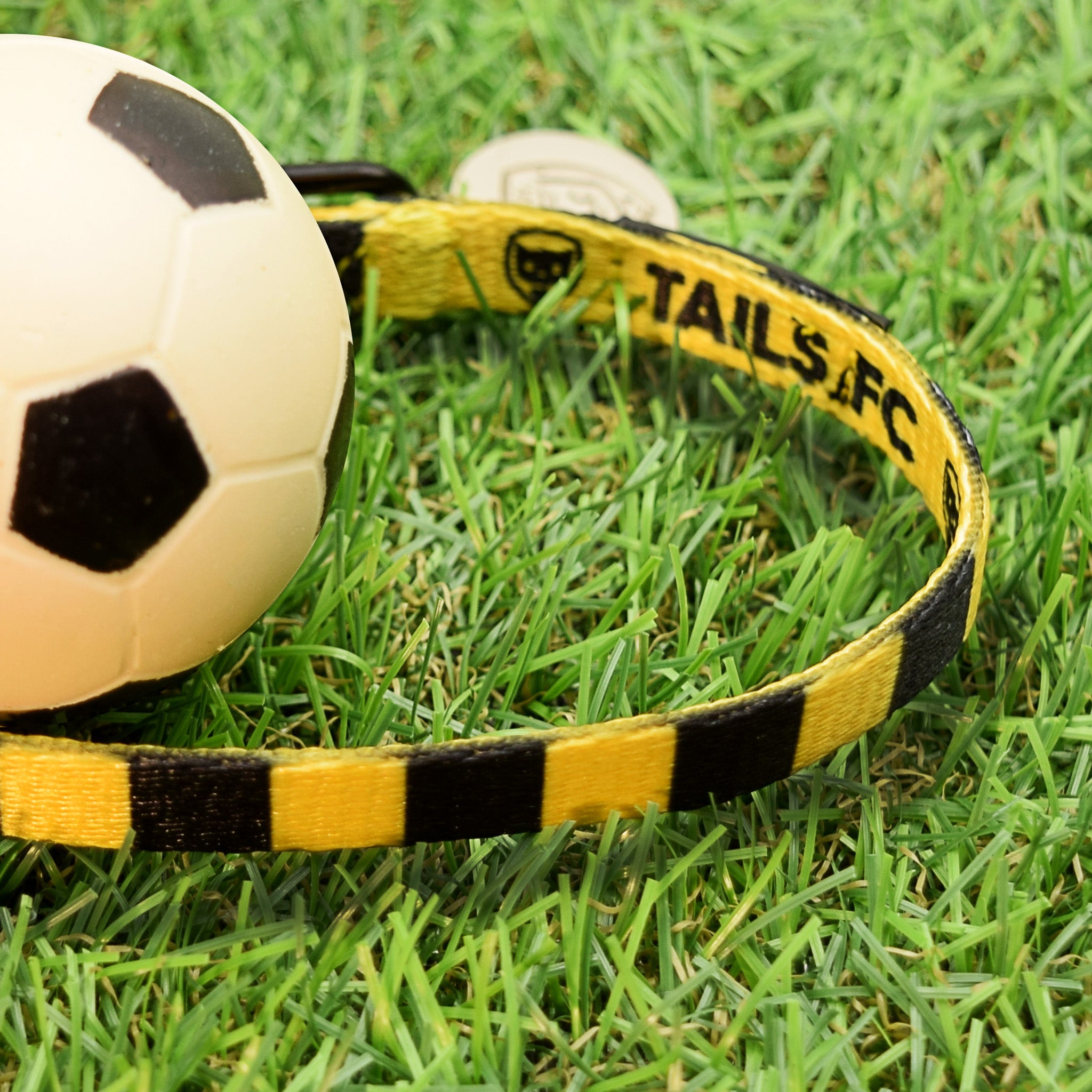 Dortmund Cat Collar - Yellow & Black Stripe Football Pet Collar