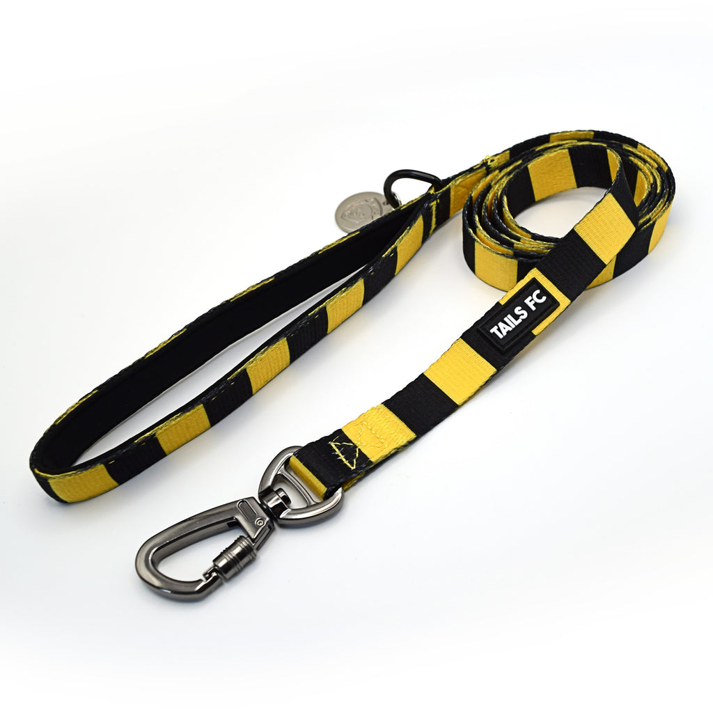 Dortmund Pet Lead - Yellow & Black Stripe Football Pet Lead