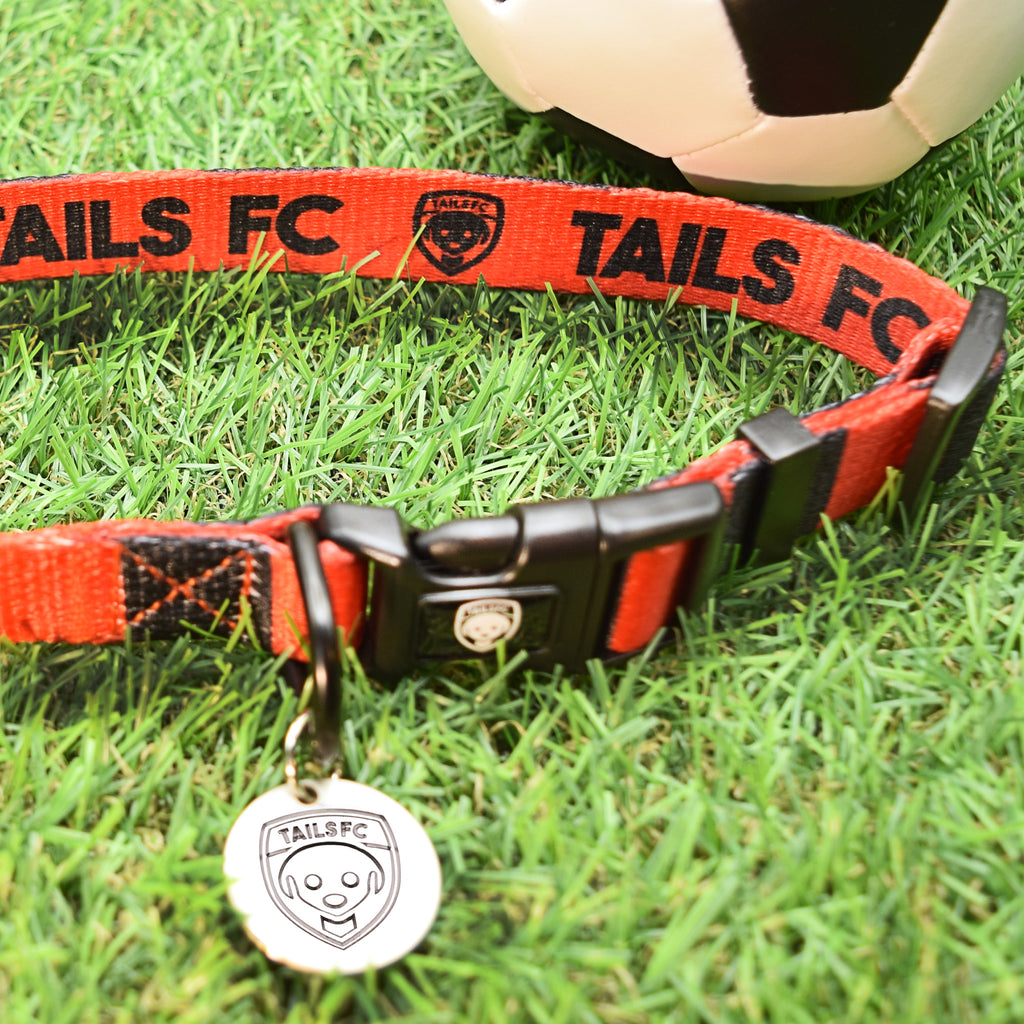 Bournemouth Dog Set - Red & Black Stripe Football Dog Collar and Leash Set