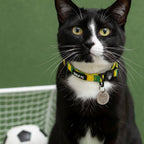 Brazil Cat Collar - Yellow & Green Stripe Football Pet Collar